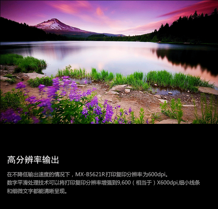 夏普 (SHARP)多功能彩色復印機